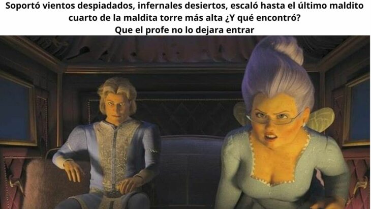 Meme Hada madrina de Shrek soportó vientos despiadados 