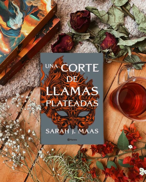 libro una corte de espinas y rosas