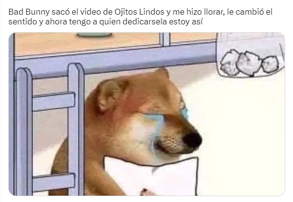 meme del perrito chems con un texto al respecto de la canción ojitos lindos de Bad Bunny 