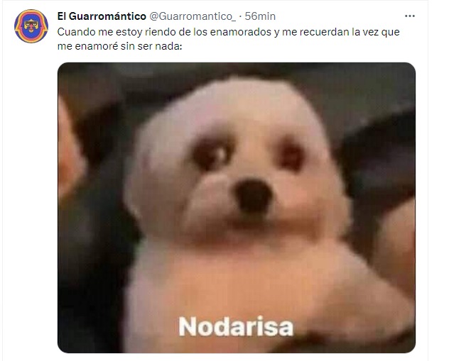 meme me enamoré sin ser nada