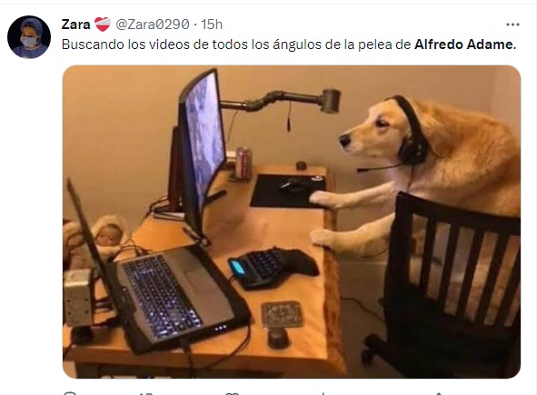 puppy meme on the computer looking for adame videos