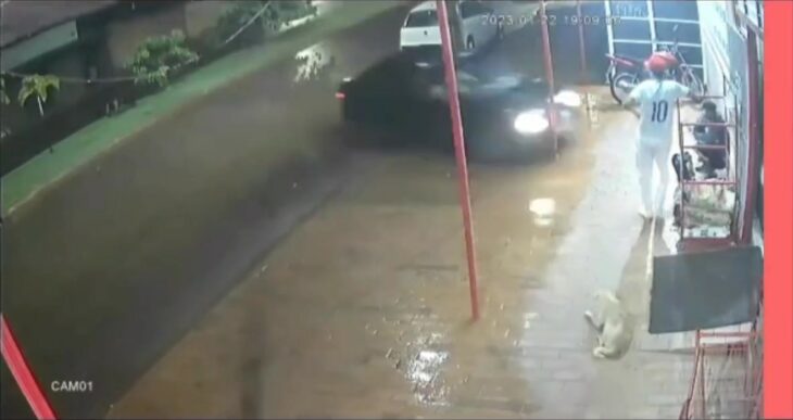captura de pantalla de un video en el que una chica le echa el carro encima a un hombre a las afueras de un negocio en Brasil