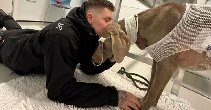 Fotografía de un chico acostado en el suelo dando un beso en la cabeza a su perro con vendaje y canalizado en el veterinario 