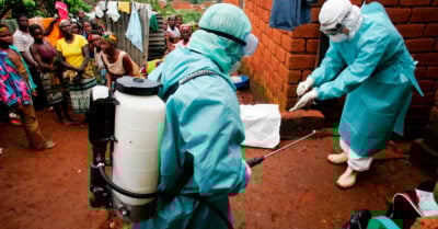 OMS se reúne de emergencia para analizar brote de virus de Marburgo en Guinea Ecuatorial