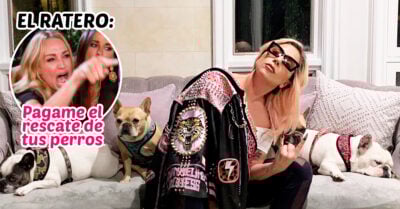 Secuestradores de los perros de Lady Gaga la demandan por NO pagar el rescate