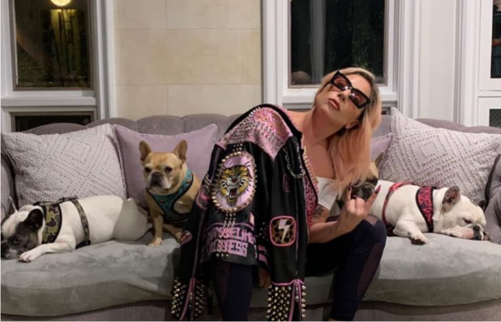 Lady Gaga posando con sus perros en la sala de su casa