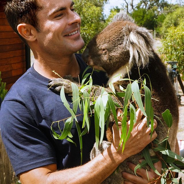  Zac Efron con un koala