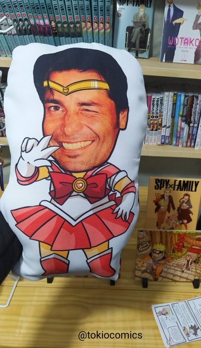 Chayanne en almohada de Sailor Moon