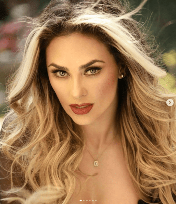 la actriz Aracely Arámbula en una imagen de su rostro tomada de su Instagram