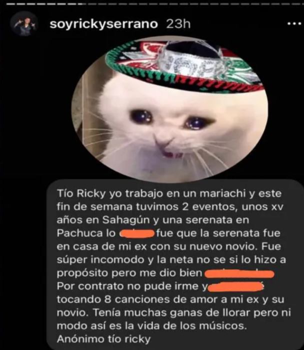 captura de pantalla de Instagram aparece una imagen de un gatito