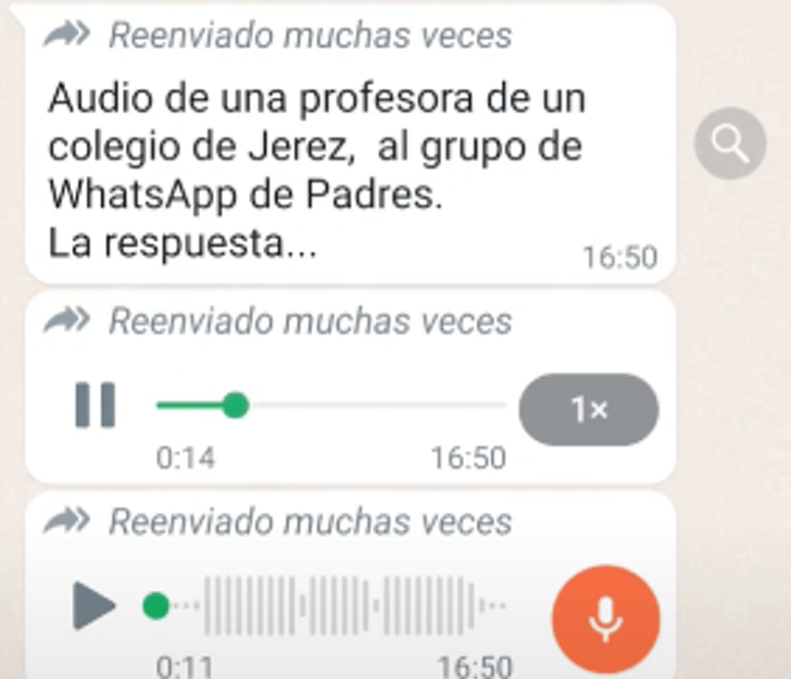 captura de pantalla de una conversación en un grupo de Whatsapp