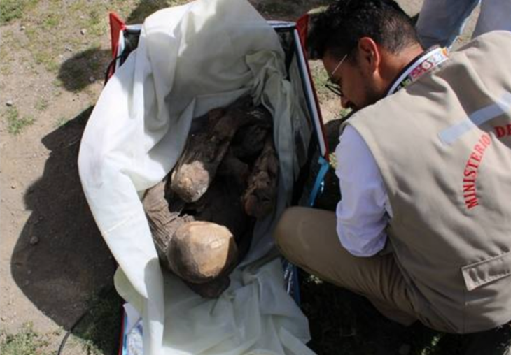 un experto hace los primeros análisis a una momia encontrada en una bolsa delivery
