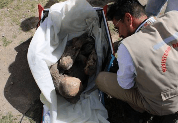 un experto hace los primeros análisis a una momia encontrada en una bolsa delivery