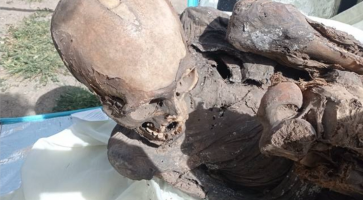 restos de una momia en posición fetal recuperada en Perú