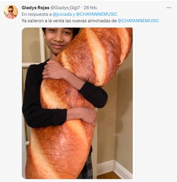 meme de un niño con una almohada de baguette 