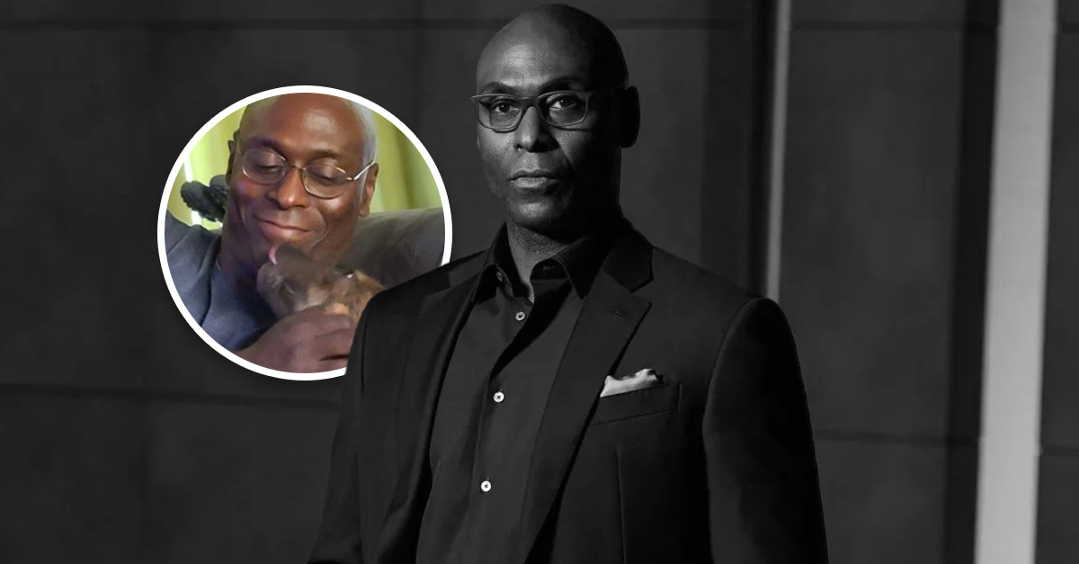 Lance Reddick casou com a esposa Stephanie em 2011: sua vida de