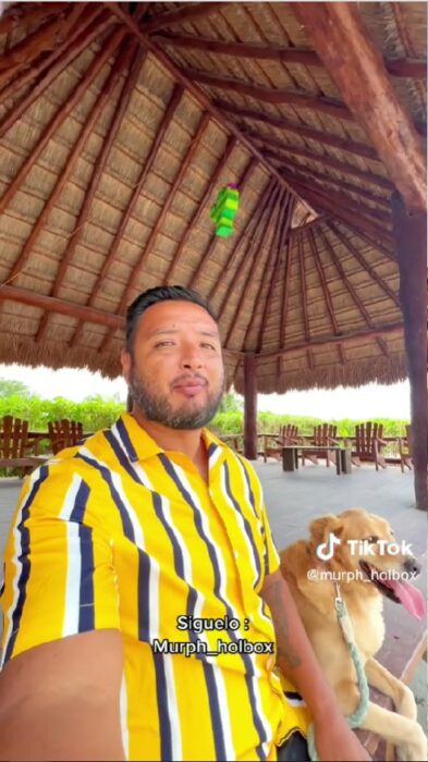 captura de pantalla de el perro Murph junto a su dueño en una boda celebrada en Quintana Roo 