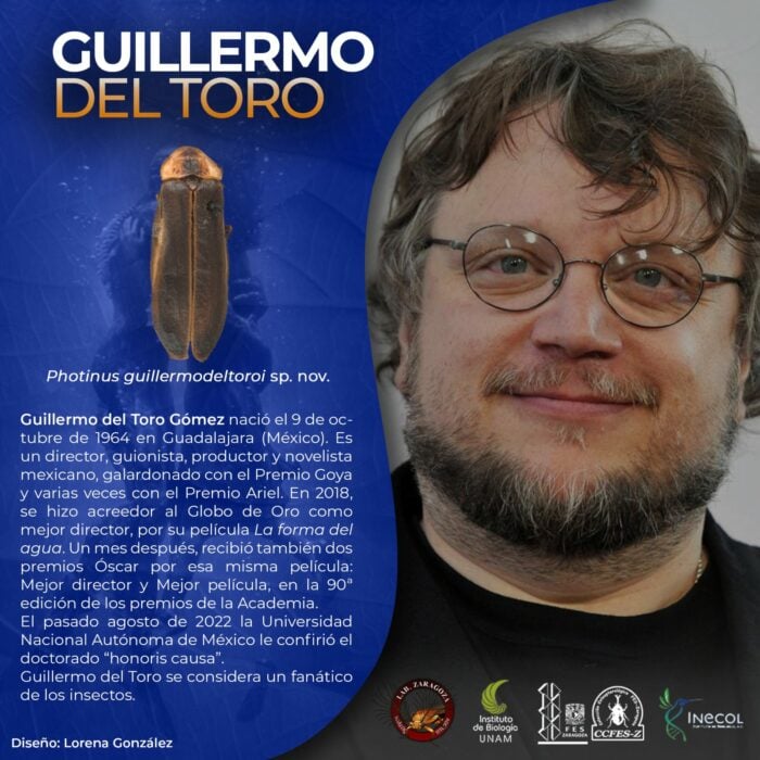 imagen con la fotografía de Guillermo del Toro con la descripción de la nueva luciérnaga que lleva su nombre 