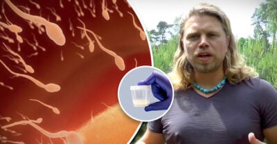 Donante de esperma es demandado en Europa por tener más de 550 hijos