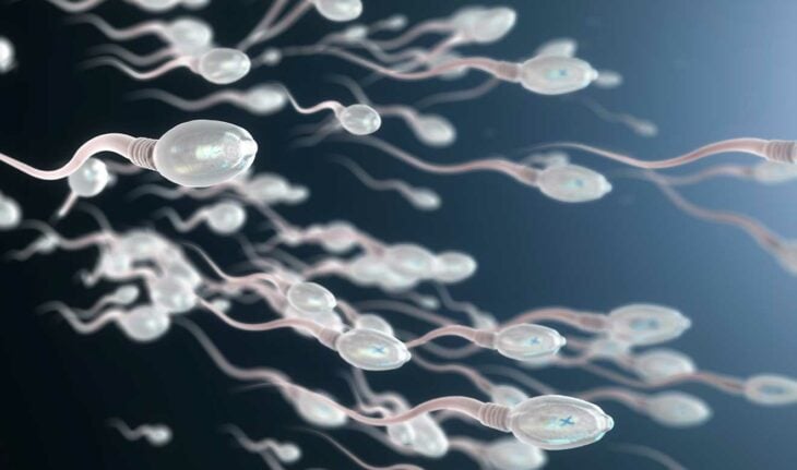 imagen de varios espermatozoides agrandados 