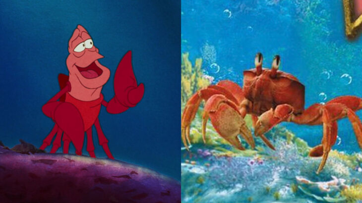 Comparison of Sebastian in live action 