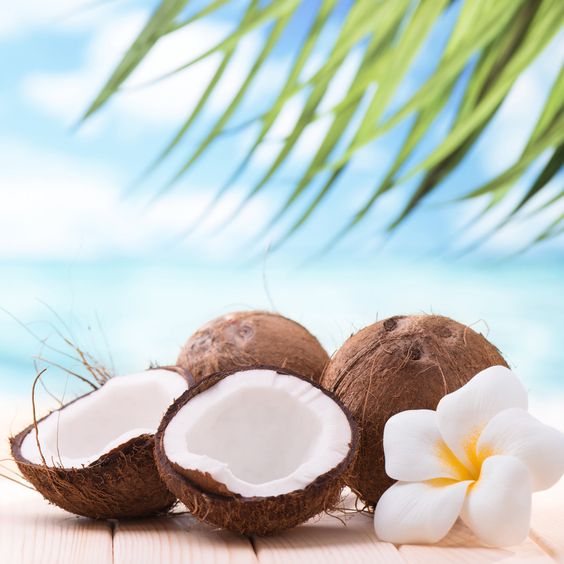 cocos con una flor y una palmera en la playa
