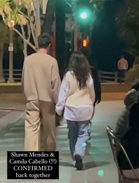 Camila Cabello y Shawn Mendes fueron captados caminando de la mano en Los Ángeles, California 