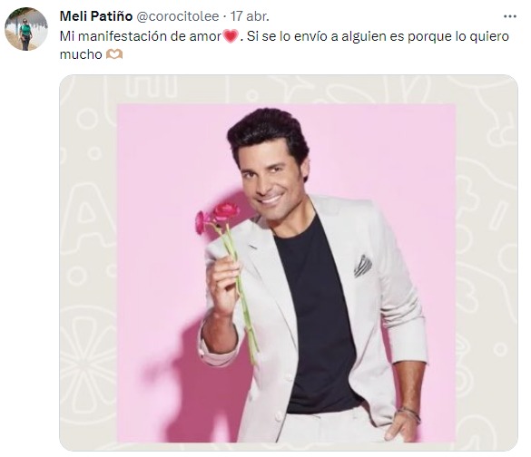 sticker de chayanne con una rosa 