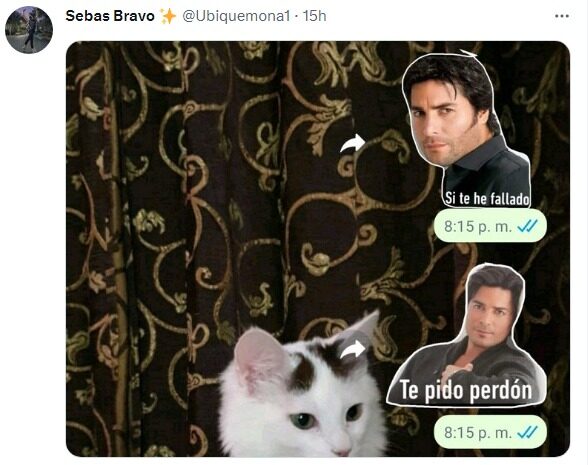 sticker de Chayanne si te he fallado te pido perdon 