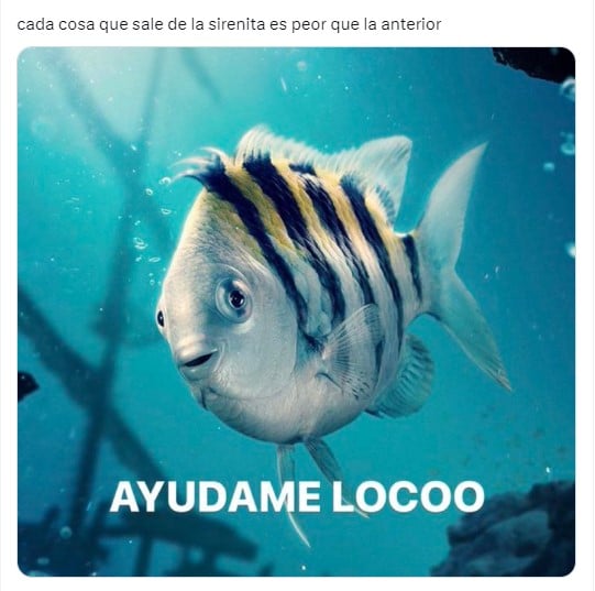 meme sobre el póster de Flounder de La Sirenita 