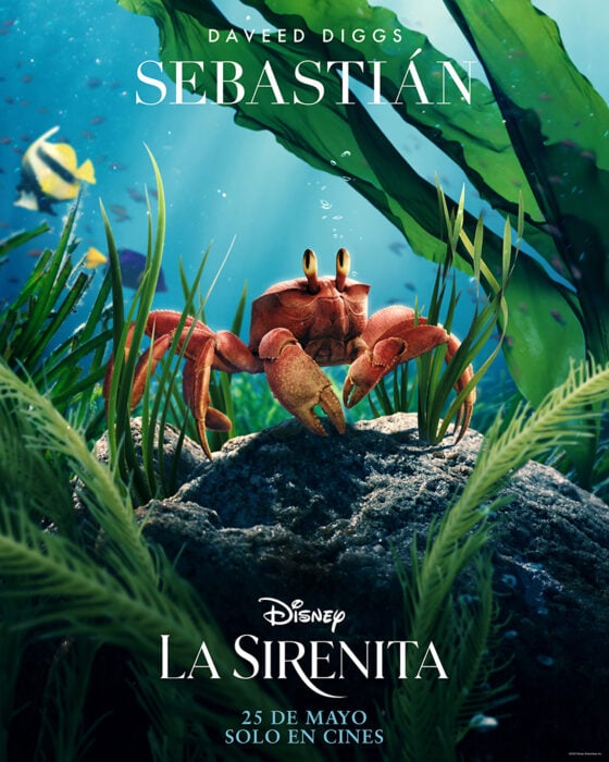 póster oficial de Sebastián del liveaction de la sirenita