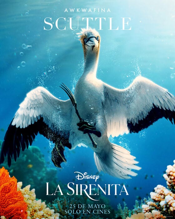 póster oficial de Scuttle en el liveaction de La Sirenita 