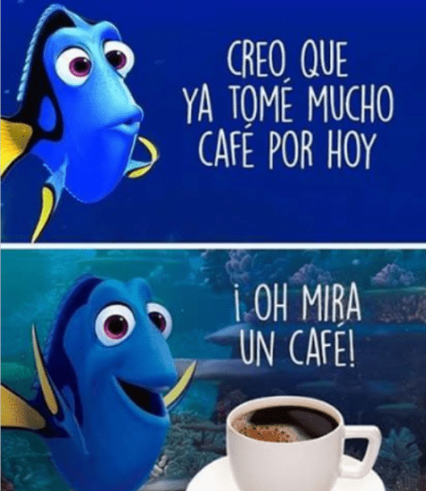 image of one of the fish from Finding Nemo
