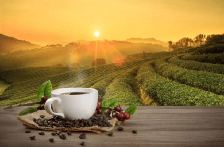 a field at dawn on a table is a cup of black coffee