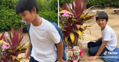 Niño visita la tumba de su mamá para hacer la tarea; quiere tenerla cerca