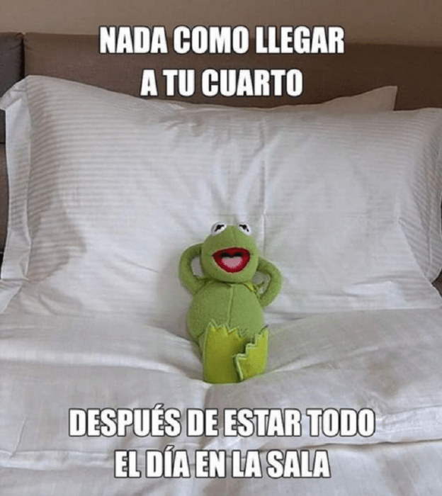 imagen de la ranita de los memes acostada en una cama con sábanas blancas