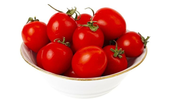 un recipiente lleno de tomates maduros 