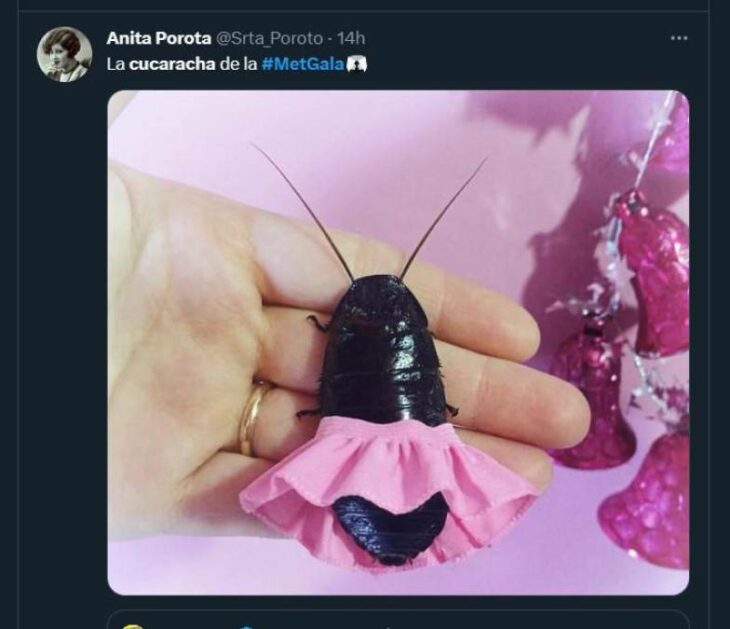 meme cucaracha de la met usando falda rosa