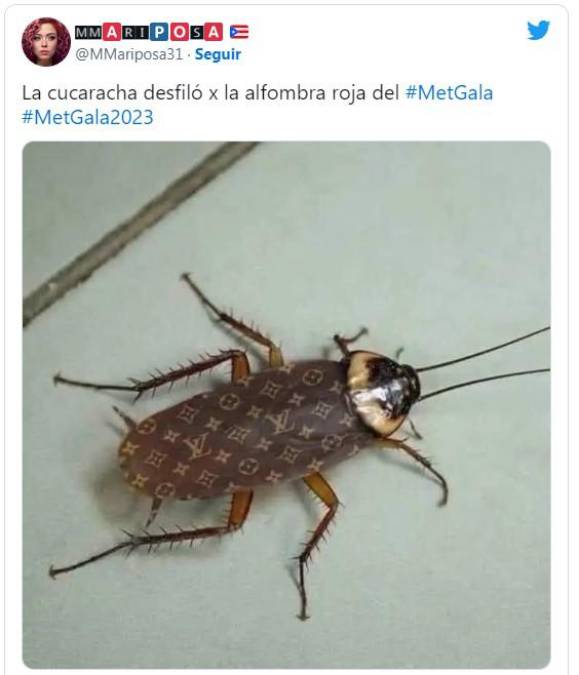 meme cucaracha en louis vuitton