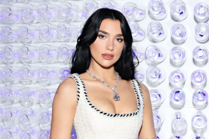 Dua Lipa posing on a red carpet