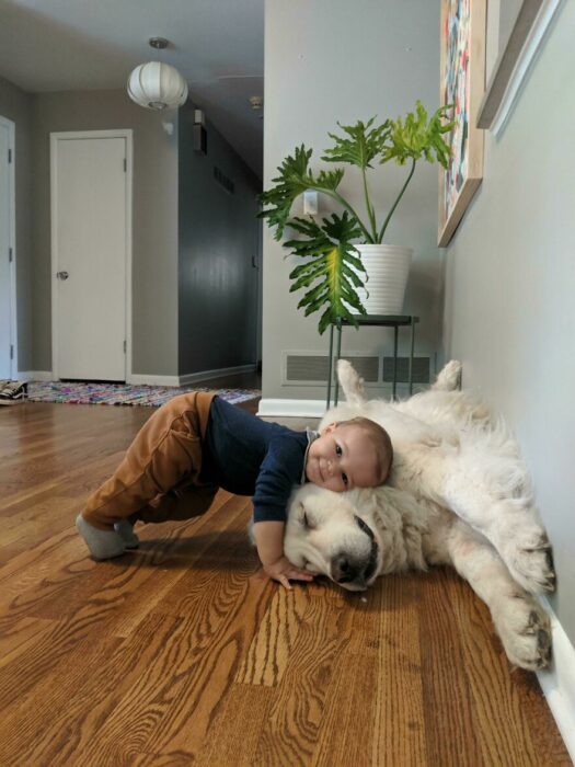 niño pequeño recostado con un perro 