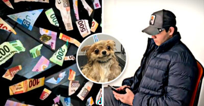 Cortó todos los billetes de su primo pensando que eran “papelitos de colores”
