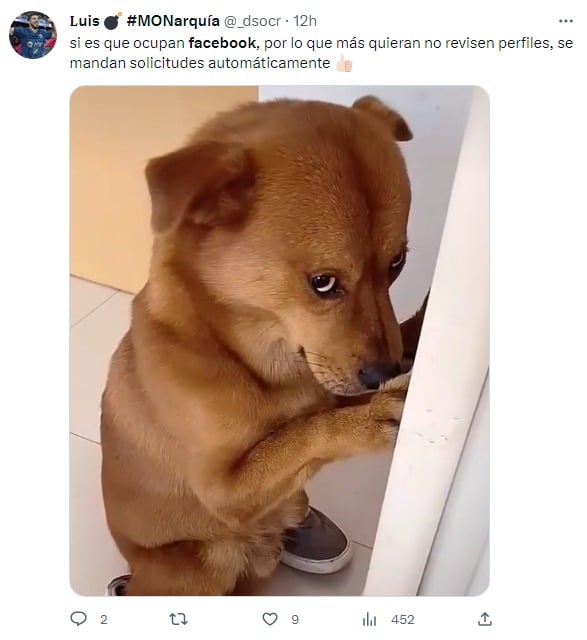 meme de falla de facebook con un perrito