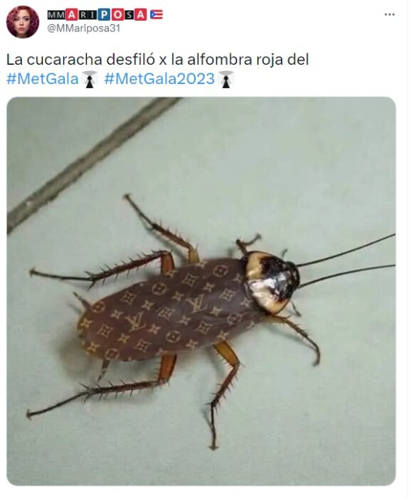 meme de cucaracha en la met 2023