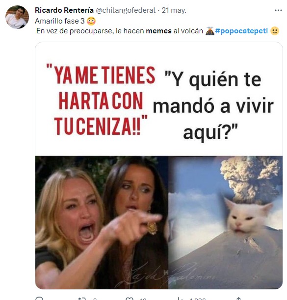 meme del reclamo del gato por el volcán 