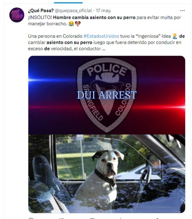 noticia de que el hombre cambió de asiento con su perro 