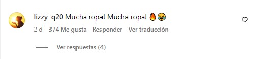 captura de pantalla de un comentario de una fan de Chayanne 