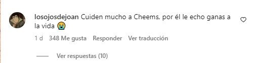 captura de pantalla de un comentario en el Instagram del perrito Cheems 