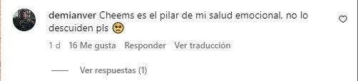 captura de pantalla de un comentario en la publicación del estado de salud de Cheems 