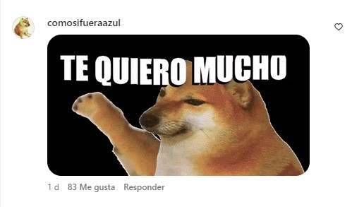 captura de pantalla de un comentario en la publicación del estado de salud de Cheem el perrito de los memes 